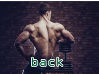 Định nghĩa & cách phát âm từ back