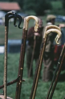 Định nghĩa & cách phát âm từ crook