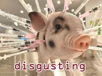 Định nghĩa & cách phát âm từ disgusting