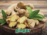 Định nghĩa & cách phát âm từ ginger