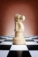 Định nghĩa & cách phát âm từ knight