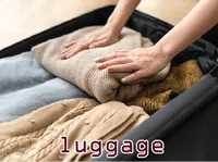 Định nghĩa & cách phát âm từ luggage