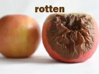 Định nghĩa & cách phát âm từ rotten