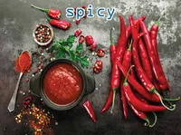 Định nghĩa & cách phát âm từ spicy