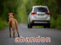 Định nghĩa & cách phát âm từ abandon