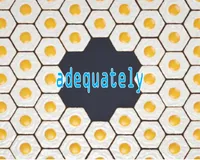 Định nghĩa & cách phát âm từ adequately