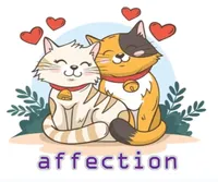 Định nghĩa & cách phát âm từ affection