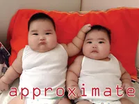 Định nghĩa & cách phát âm từ approximate