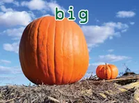 Định nghĩa & cách phát âm từ big