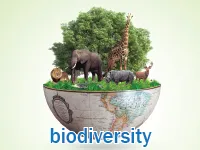 Định nghĩa & cách phát âm từ biodiversity