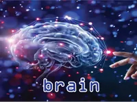 Định nghĩa & cách phát âm từ brain