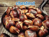 Định nghĩa & cách phát âm từ chestnut