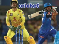 Định nghĩa & cách phát âm từ cricket