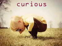 Định nghĩa & cách phát âm từ curious
