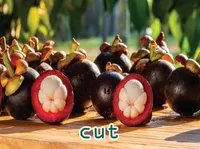 Định nghĩa & cách phát âm từ cut