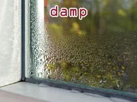 Định nghĩa & cách phát âm từ damp