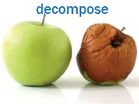 Định nghĩa & cách phát âm từ decompose