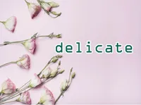 Định nghĩa & cách phát âm từ delicate