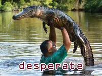 Định nghĩa & cách phát âm từ desperate