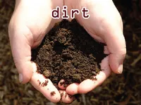 Định nghĩa & cách phát âm từ dirt