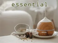 Định nghĩa & cách phát âm từ essential