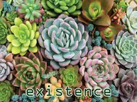 Định nghĩa & cách phát âm từ existence