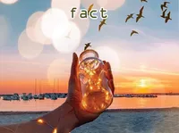 Định nghĩa & cách phát âm từ fact