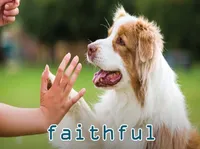 Định nghĩa & cách phát âm từ faithful