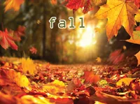 Định nghĩa & cách phát âm từ fall