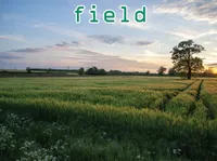 Định nghĩa & cách phát âm từ field