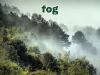 Định nghĩa & cách phát âm từ fog
