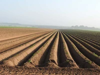 Định nghĩa & cách phát âm từ furrow