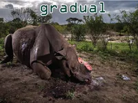 Định nghĩa & cách phát âm từ gradual