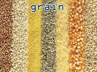 Định nghĩa & cách phát âm từ grain