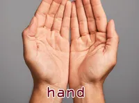 Định nghĩa & cách phát âm từ hand