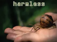 Định nghĩa & cách phát âm từ harmless