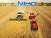 Định nghĩa & cách phát âm từ harvest