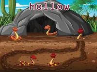 Định nghĩa & cách phát âm từ hollow