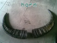 Định nghĩa & cách phát âm từ horn