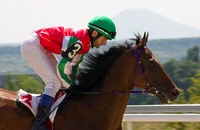 Định nghĩa & cách phát âm từ jockey