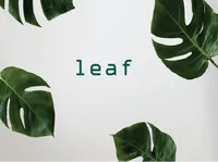 Định nghĩa & cách phát âm từ leaf