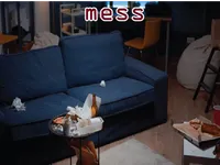 Định nghĩa & cách phát âm từ mess