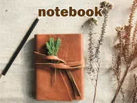 Định nghĩa & cách phát âm từ notebook