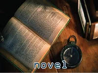 Định nghĩa & cách phát âm từ novel