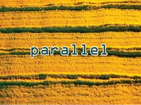 Định nghĩa & cách phát âm từ parallel