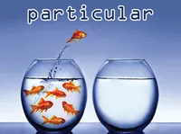 Định nghĩa & cách phát âm từ particular