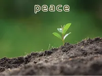 Định nghĩa & cách phát âm từ peace