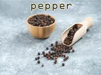 Định nghĩa & cách phát âm từ pepper