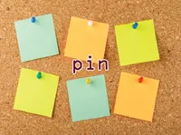 Định nghĩa & cách phát âm từ pin