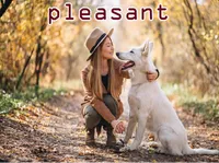 Định nghĩa & cách phát âm từ pleasant